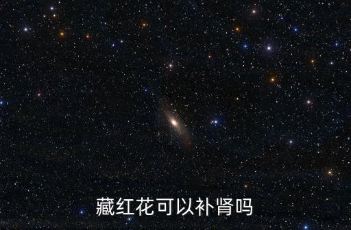 藏紅花可以補腎嗎