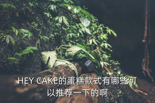 HEY CAKE的蛋糕款式有哪些可以推薦一下的啊