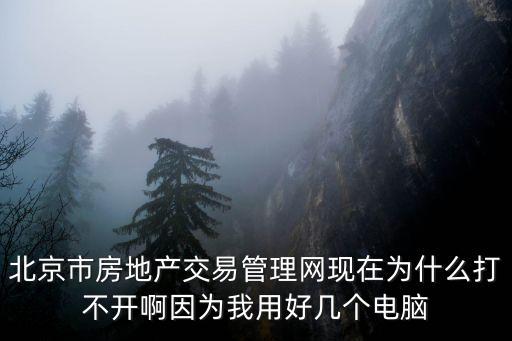 北京市房地產交易管理網現在為什么打不開啊因為我用好幾個電腦