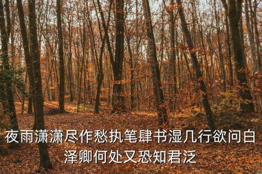 夜雨瀟瀟，相逢何必曾相識下一句是什么還有夜雨瀟瀟下一句怎么接