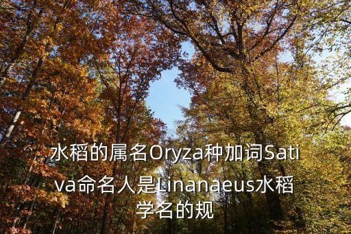 水稻的屬名Oryza種加詞Sativa命名人是Linanaeus水稻學(xué)名的規(guī)