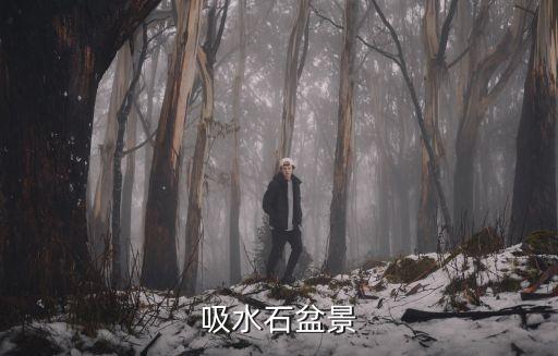 吸水石盆景