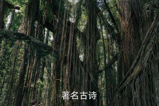 著名古詩