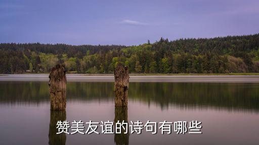 贊美朋友的詩句，贊美友誼的詩句有哪些