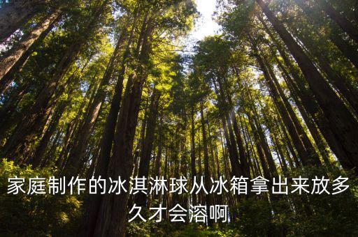 雪糕球，什么是哈根達斯小球冰激凌什么樣子有照片么