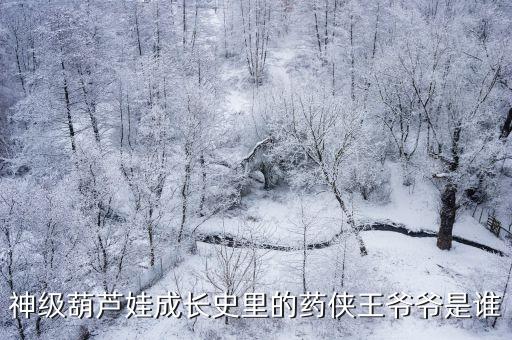 王健儀，神級葫蘆娃成長史里的藥俠王爺爺是誰
