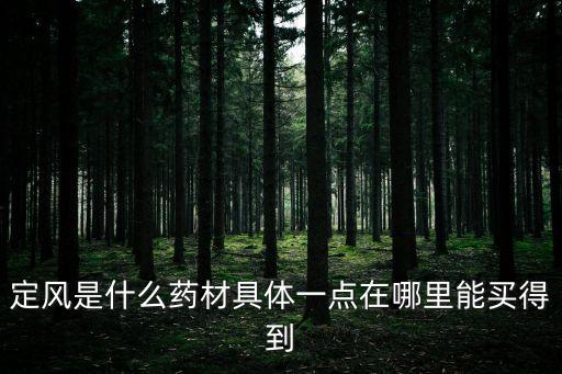 定風是什么藥材具體一點在哪里能買得到
