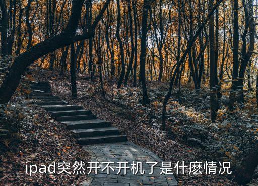 ipad開不開機，ipad突然開不開機了是什麼情況