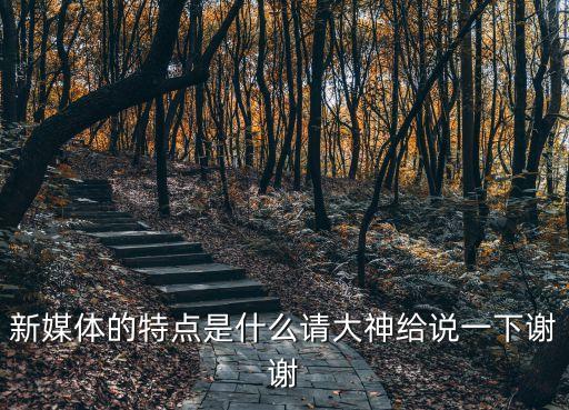 新媒體的特點是什么請大神給說一下謝謝