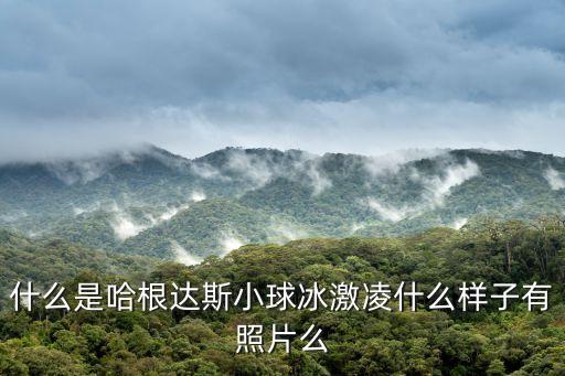 什么是哈根達斯小球冰激凌什么樣子有照片么
