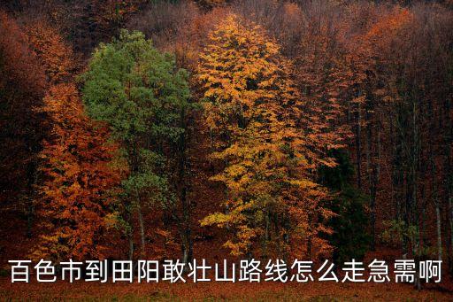 敢壯山，百色市到田陽敢壯山路線怎么走急需啊