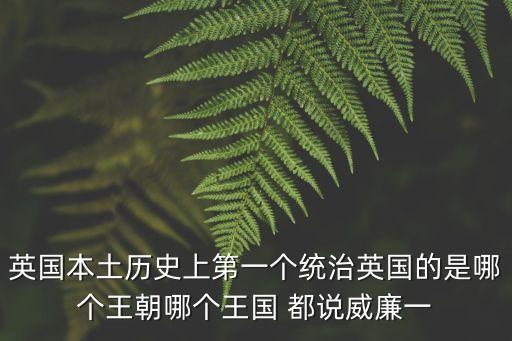 英國本土歷史上第一個(gè)統(tǒng)治英國的是哪個(gè)王朝哪個(gè)王國 都說威廉一