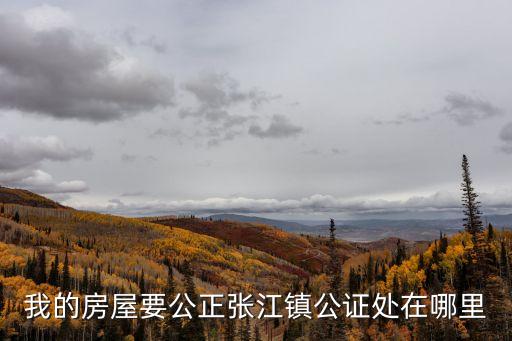 我的房屋要公正張江鎮(zhèn)公證處在哪里