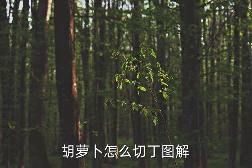 胡蘿卜怎么切丁圖解