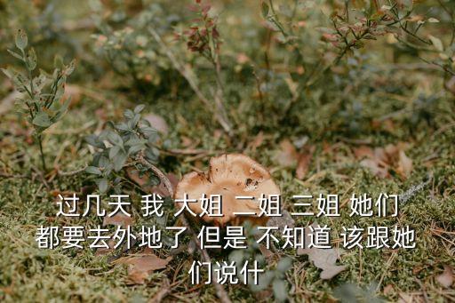 過幾天 我 大姐 二姐 三姐 她們都要去外地了 但是 不知道 該跟她們說什
