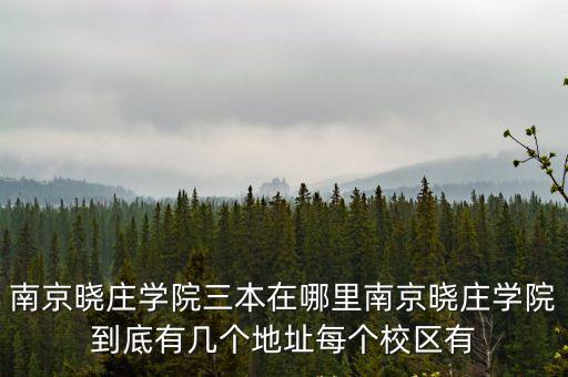 南京曉莊學院三本在哪里南京曉莊學院到底有幾個地址每個校區(qū)有