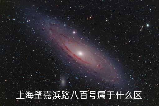上海市肇嘉浜路800號11樓，上海肇嘉浜路八百號屬于什么區(qū)