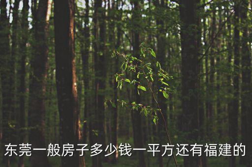 東莞一般房子多少錢一平方還有福建的