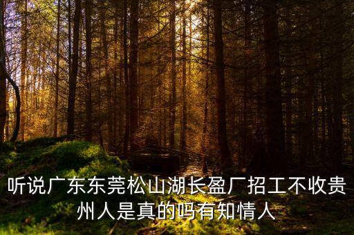 東莞松山湖長盈廠址，請問東莞松山湖長盈精密科技有限公司現在招聘司機嗎我是A2的駕