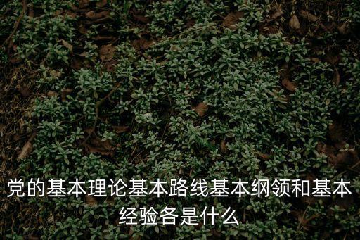 黨的基本理論基本路線基本綱領和基本經驗各是什么