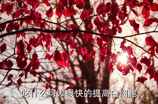 吃什么可以很快的提高白細(xì)胞