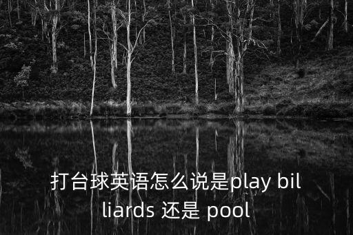 打臺球英語怎么說是play billiards 還是 pool