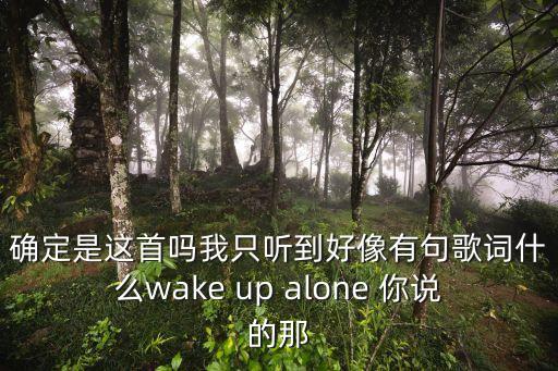 十二歌詞，確定是這首嗎我只聽(tīng)到好像有句歌詞什么wake up alone 你說(shuō)的那