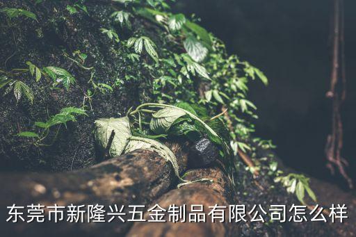 東莞隆興五金店，東莞市新隆興五金制品有限公司怎么樣