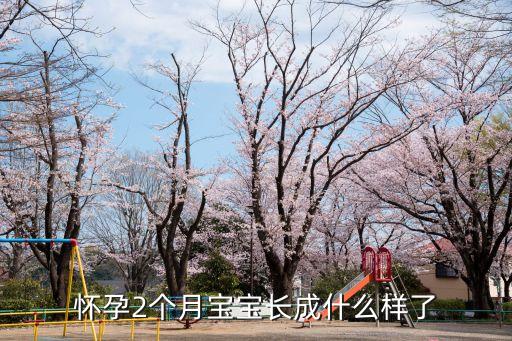 懷孕2個(gè)月胎兒圖，懷孕兩個(gè)月的胎兒長成什么樣子了