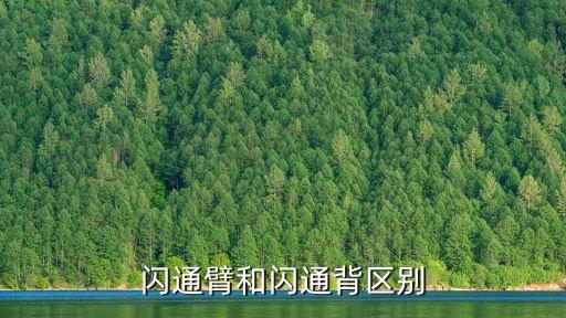 閃通臂和閃通背區別