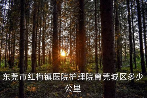東莞市紅梅鎮(zhèn)醫(yī)院護理院離莞城區(qū)多少公里