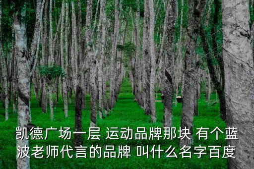 東莞凱德廣場賣鞋品牌，凱德廣場一層 運動品牌那塊 有個藍波老師代言的品牌 叫什么名字百度