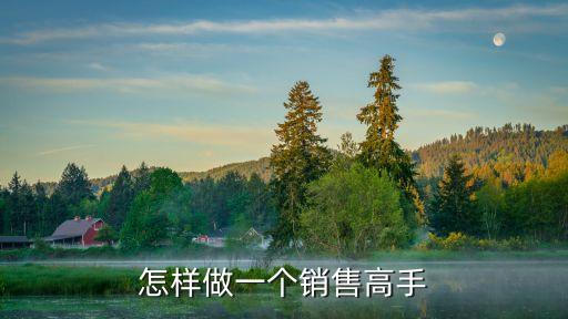 怎樣做一個銷售高手