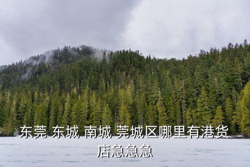 東莞 東城 南城 莞城區哪里有港貨店急急急