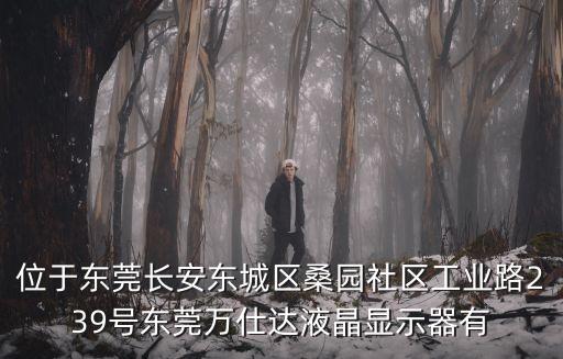 位于東莞長(zhǎng)安東城區(qū)桑園社區(qū)工業(yè)路239號(hào)東莞萬(wàn)仕達(dá)液晶顯示器有