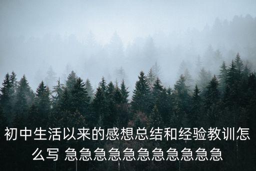 初中生活以來的感想總結(jié)和經(jīng)驗教訓(xùn)怎么寫 急急急急急急急急急急急
