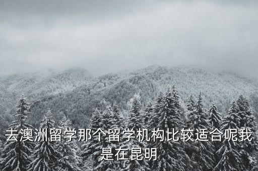 留學(xué)機(jī)構(gòu)排名，出國(guó)留學(xué)中介前十名有哪幾個(gè)