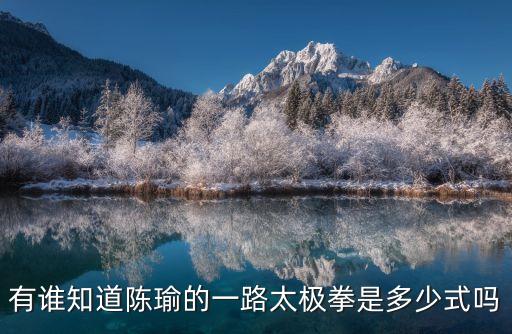 陳瑜太極，有誰知道陳瑜的一路太極拳是多少式嗎