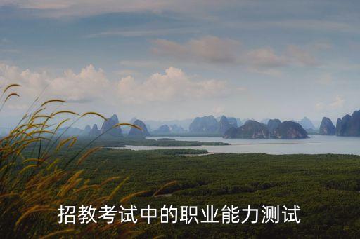 教師職業(yè)能力測試，招教考試中的職業(yè)能力測試