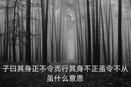 不令而行，論語中其身正不令而行下一句是什么