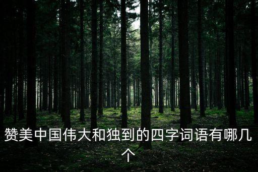 贊美中國偉大和獨到的四字詞語有哪幾個