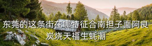東莞的這條街在哪特征合南擔子面阿良炭燒天福生蠔潮