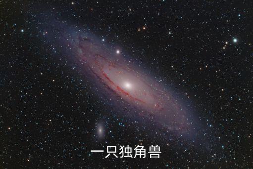 一只獨角獸