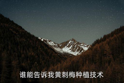 刺梅花的養(yǎng)殖方法，刺梅花的養(yǎng)殖方法 盆栽刺梅花怎么養(yǎng)