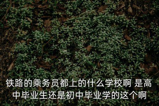 鐵路的乘務(wù)員都上的什么學校啊 是高中畢業(yè)生還是初中畢業(yè)學的這個啊