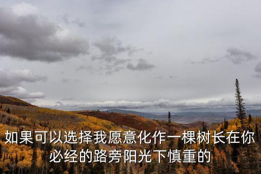 如果可以選擇我愿意化作一棵樹長在你必經的路旁陽光下慎重的