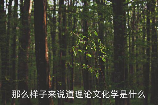 那么樣子來說道理論文化學是什么
