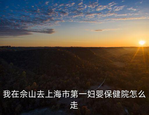 我在佘山去上海市第一婦嬰保健院怎么走
