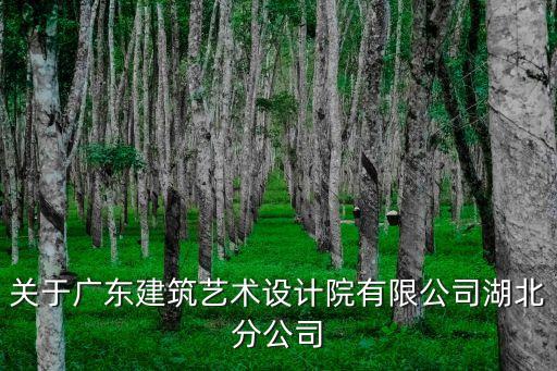關(guān)于廣東建筑藝術(shù)設(shè)計(jì)院有限公司湖北分公司