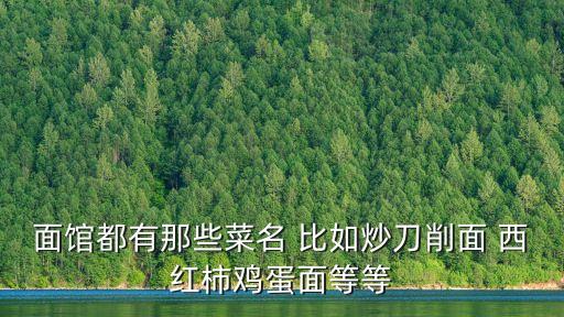 面館都有那些菜名 比如炒刀削面 西紅柿雞蛋面等等